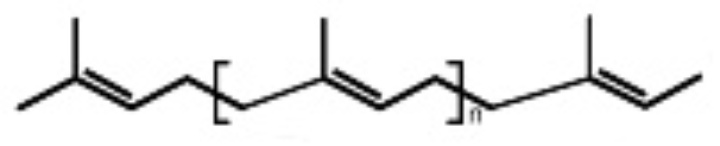chemical structure od polyisoprene